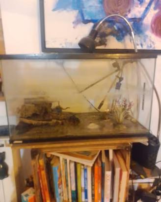 Acquario - terracquario