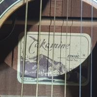 Chitarra Takamine, Modello ETN10C