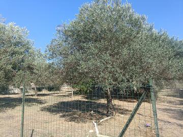 Terreno - Chiaramonte Gulfi