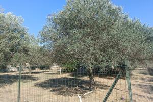 Terreno - Chiaramonte Gulfi