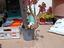 Immagine 3