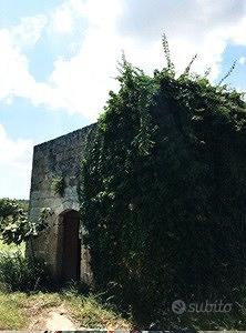 TERRENO AGRICOLO_Salento (Tricase) - Vista 2