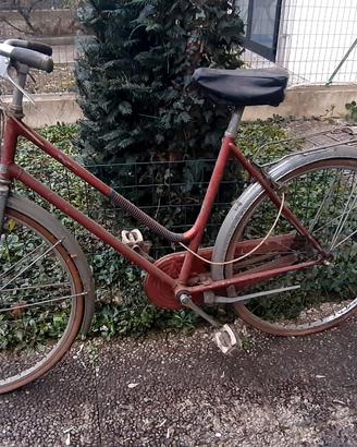 Bici donna olandese 