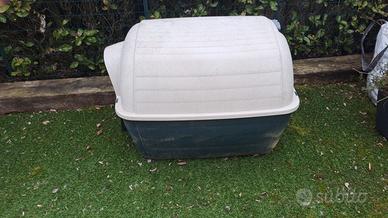 cuccia per cani taglia media