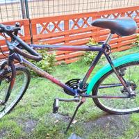 Mountain Bike da uomo marca Atala