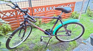 Mountain Bike da uomo marca Atala