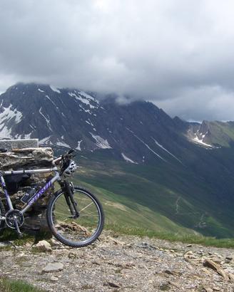 Mountain Bike Cinelli Argento Vivo