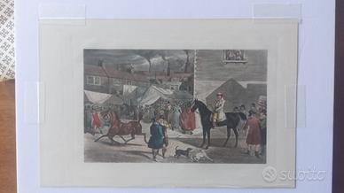 Stampe fine '800 (cavalli, cani, vita all'aperto)