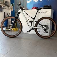 MTB Enduro Cube Stereo