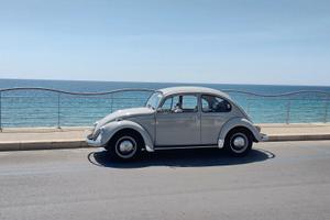 Maggiolino Volkswagen 69
