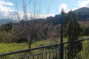 Deliziosa villetta 