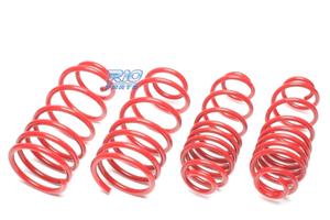 KIT MOLLE SPORTIVE PER NISSAN