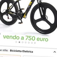 bicicletta elettrica 