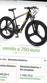 bicicletta elettrica 