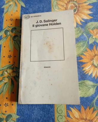Libro Il giovane Holden di J. D. Salinger