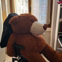 Peluche enorme