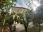 Immagine 11