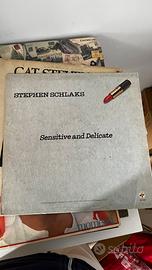 vinile STEPHEN SCHLAKS