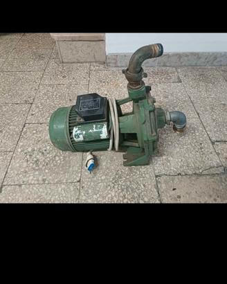 Pompa centrifuga DAB 45/50 M  1,5HP 220V 