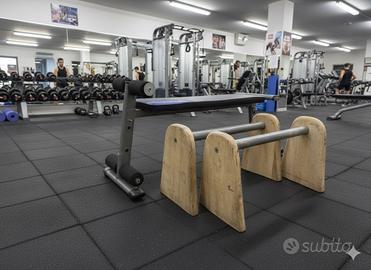 PANCA DOMYOS + PARALLELE