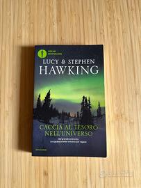 Caccia al tesoro nell’universo - Lucy e Stephen Ha