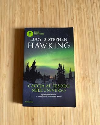 Caccia al tesoro nell’universo - Lucy e Stephen Ha