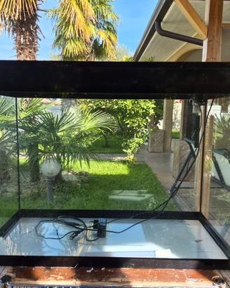Ascoll pure LED xl hc