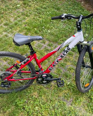 Bici black bear