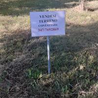 E' disponibile per essere acquistato lotto