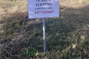 E' disponibile per essere acquistato lotto