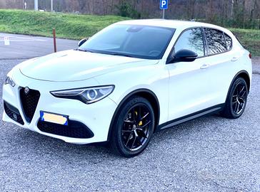 alfa Romeo stelvio 2wrd 2.2 diesel 160 cv