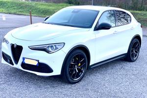 alfa Romeo stelvio 2wrd 2.2 diesel 160 cv