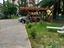 Immagine 9