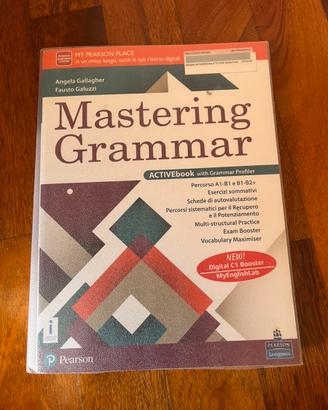 Mastering Grammar