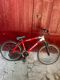Biciclette