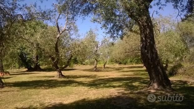 Terreno con fabbricato - Vista 5