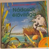 Nádasok élőviláge libro per bambini in ungherese 