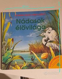 Nádasok élőviláge libro per bambini in ungherese 