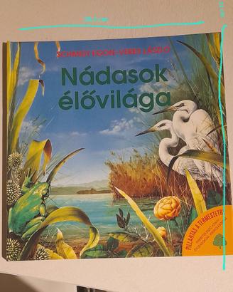 Nádasok élőviláge libro per bambini in ungherese 