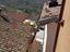 Immagine 16