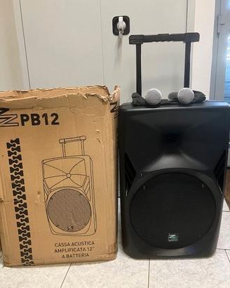 Cassa amplificata  zzipp zzpb12 12" 45WC
