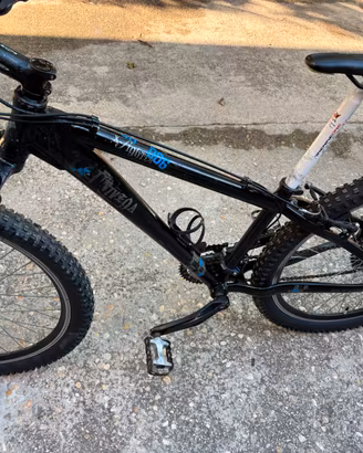 Mountain bike