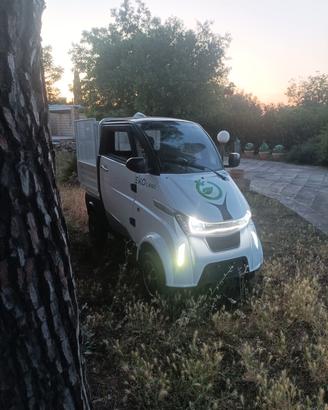 Quadriciclo elettrico 
