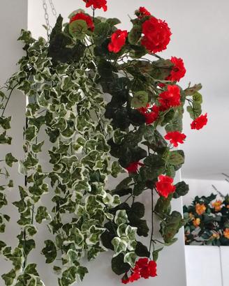 Fiori e piante