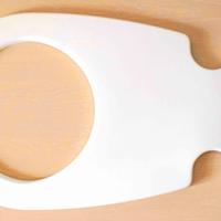 Immedia Dolphin asse trasferimento disabili per WC