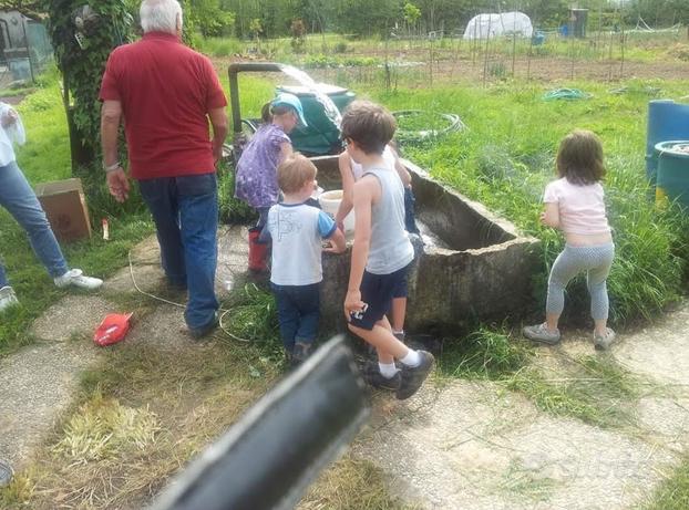 Orti condivisi a vicenza Laghetto-Polegge