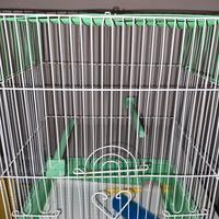 gabbia x canarini  con supporto 