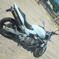 Honda hornet 600