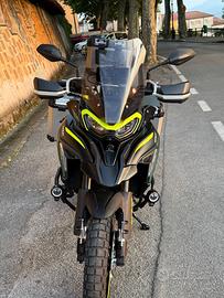 Benelli TRK 702 - 2024