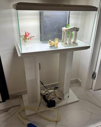 Acquario e mobiletto